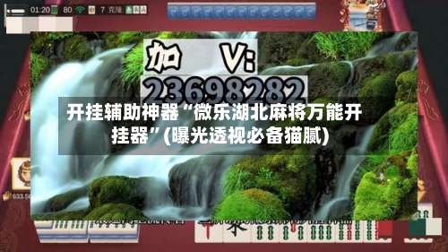 开挂辅助神器“微乐湖北麻将万能开挂器	”(曝光透视必备猫腻)-第2张图片