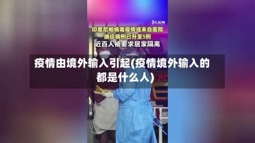 疫情由境外输入引起(疫情境外输入的都是什么人)-第2张图片