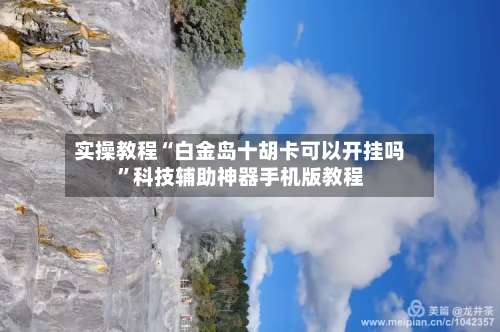 实操教程“白金岛十胡卡可以开挂吗”科技辅助神器手机版教程-第2张图片