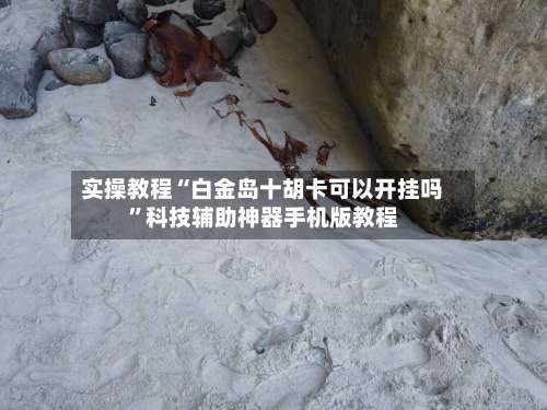 实操教程“白金岛十胡卡可以开挂吗”科技辅助神器手机版教程-第3张图片