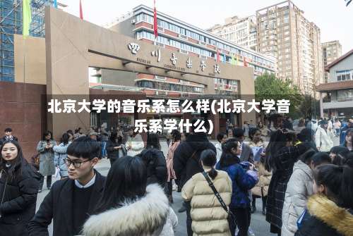 北京大学的音乐系怎么样(北京大学音乐系学什么)-第2张图片