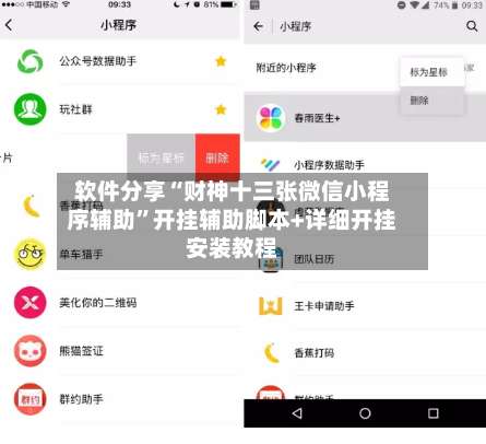 软件分享“财神十三张微信小程序辅助”开挂辅助脚本+详细开挂安装教程-第1张图片