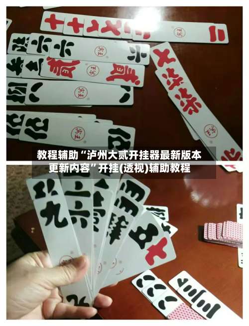 教程辅助“泸州大贰开挂器最新版本更新内容	”开挂(透视)辅助教程-第3张图片