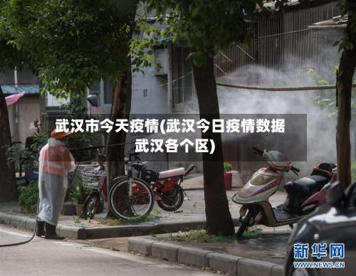 武汉市今天疫情(武汉今日疫情数据武汉各个区)-第2张图片