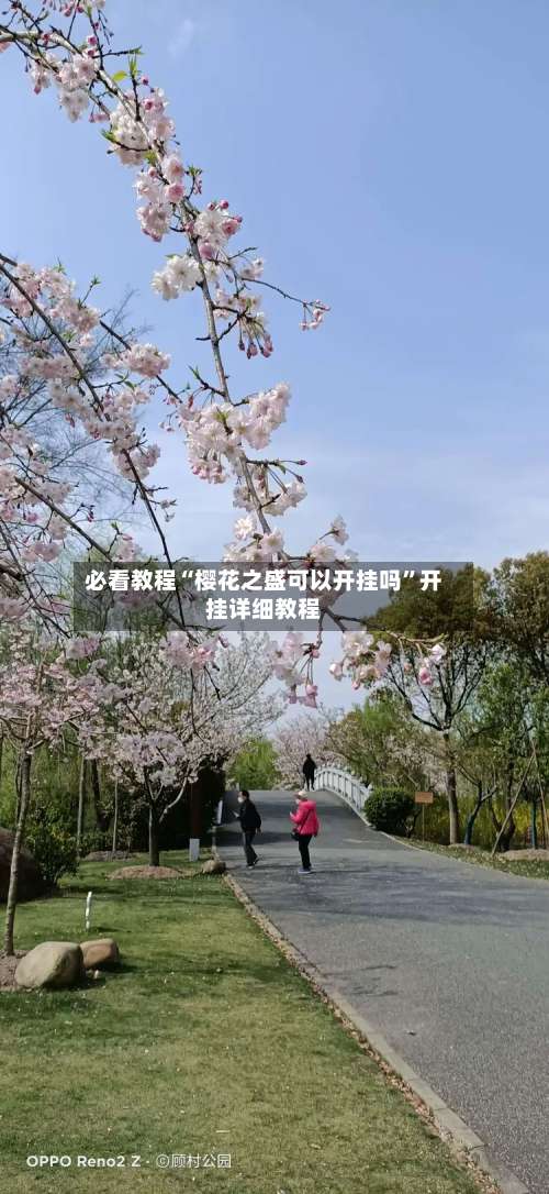 必看教程“樱花之盛可以开挂吗”开挂详细教程-第1张图片