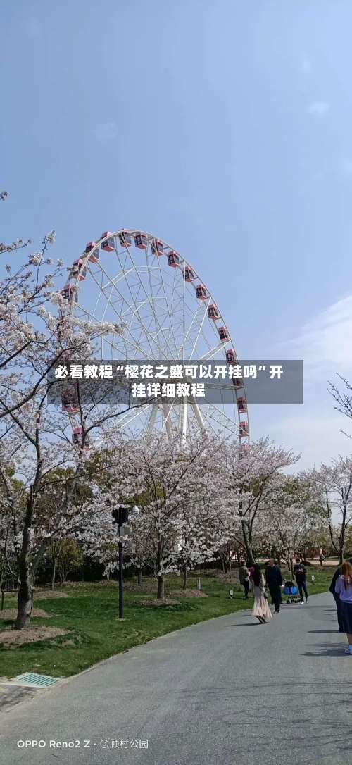 必看教程“樱花之盛可以开挂吗	”开挂详细教程-第2张图片