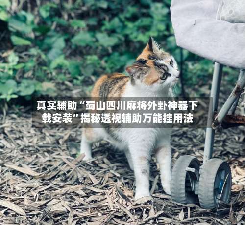 真实辅助“蜀山四川麻将外卦神器下载安装”揭秘透视辅助万能挂用法-第2张图片