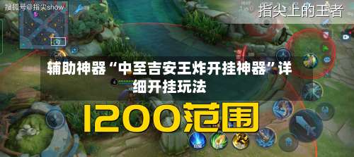辅助神器“中至吉安王炸开挂神器	”详细开挂玩法-第1张图片