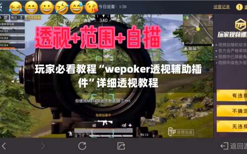 玩家必看教程“wepoker透视辅助插件	”详细透视教程-第2张图片