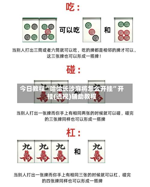 今日教程“哈哈长沙麻将怎么开挂”开挂(透视)辅助教程-第2张图片