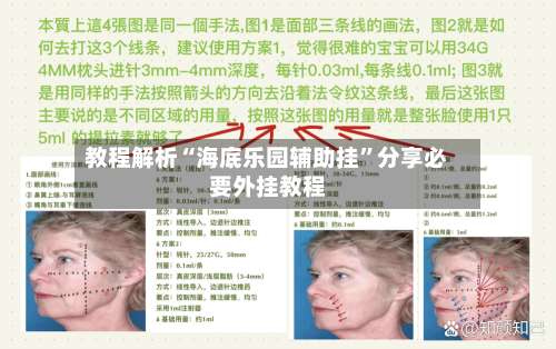 教程解析“海底乐园辅助挂”分享必要外挂教程-第1张图片