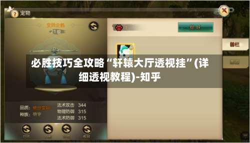 必胜技巧全攻略“轩辕大厅透视挂”(详细透视教程)-知乎-第3张图片