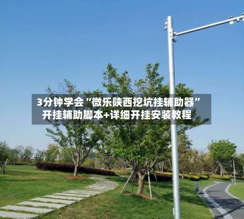 3分钟学会“微乐陕西挖坑挂辅助器”开挂辅助脚本+详细开挂安装教程-第3张图片