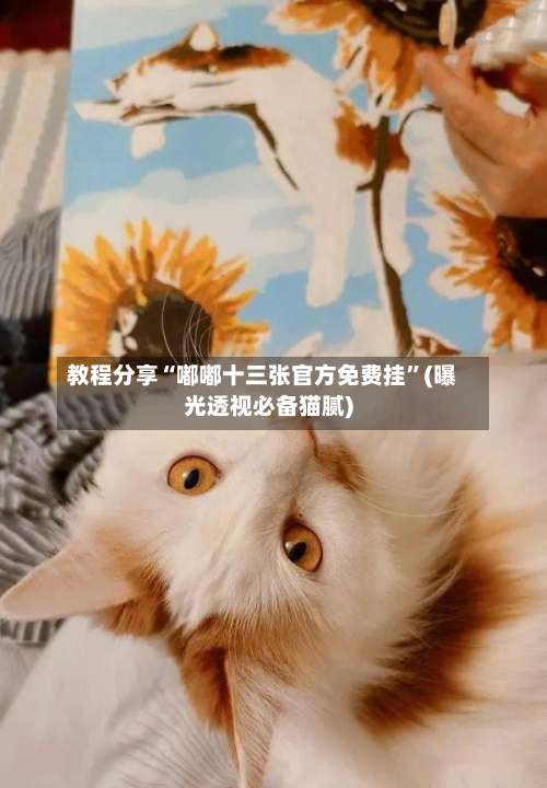 教程分享“嘟嘟十三张官方免费挂”(曝光透视必备猫腻)-第2张图片