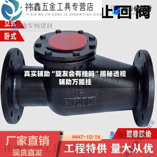 真实辅助“旋友会有挂吗	”揭秘透视辅助万能挂-第1张图片