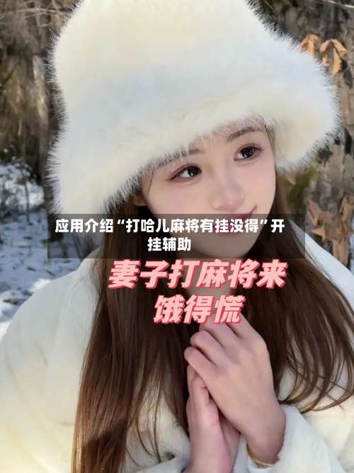 应用介绍“打哈儿麻将有挂没得	”开挂辅助-第3张图片