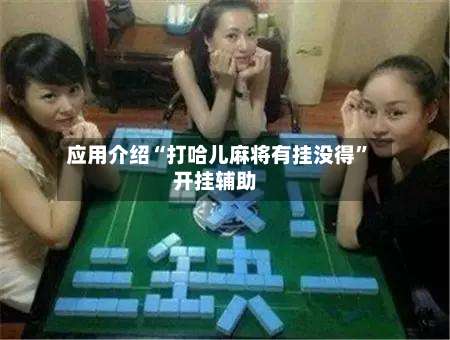 应用介绍“打哈儿麻将有挂没得”开挂辅助-第2张图片