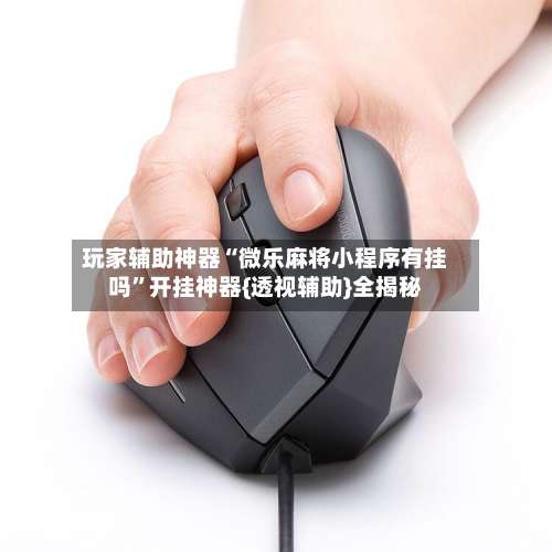 玩家辅助神器“微乐麻将小程序有挂吗”开挂神器{透视辅助}全揭秘-第2张图片