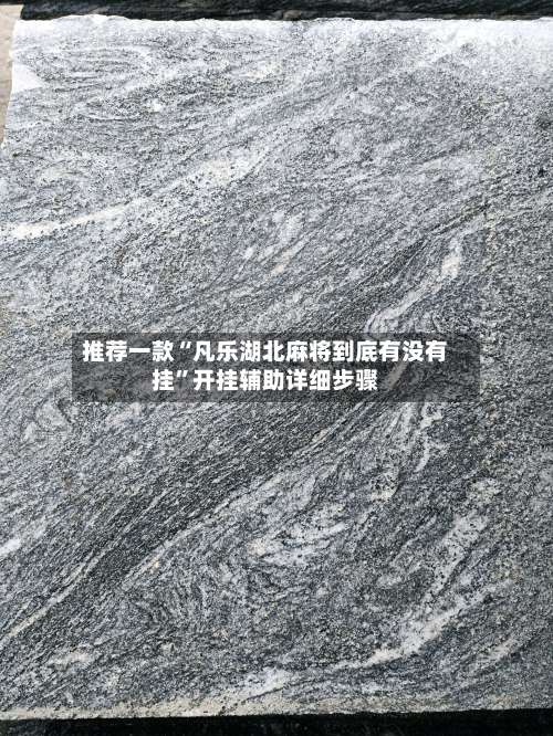 推荐一款“凡乐湖北麻将到底有没有挂”开挂辅助详细步骤-第2张图片