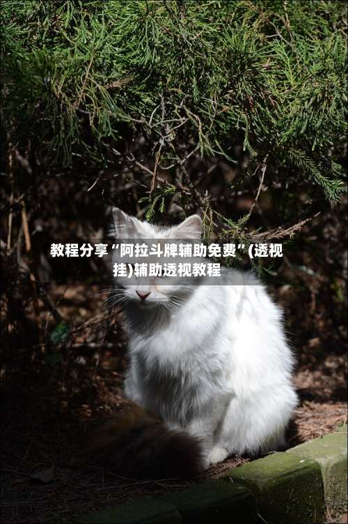 教程分享“阿拉斗牌辅助免费	”(透视挂)辅助透视教程-第1张图片