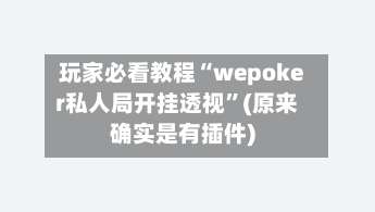 玩家必看教程“wepoker私人局开挂透视”(原来确实是有插件)-第2张图片