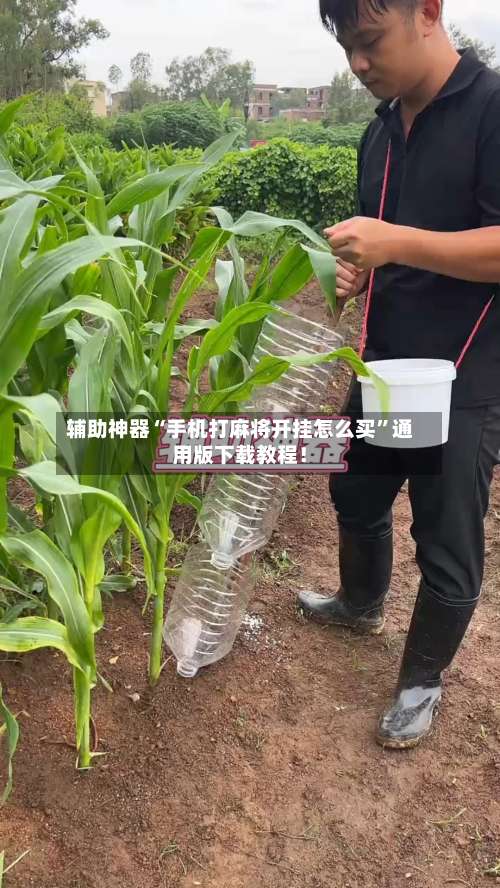 辅助神器“手机打麻将开挂怎么买”通用版下载教程！-第2张图片