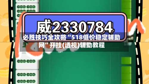 必胜技巧全攻略“518低价稳定辅助网	”开挂(透视)辅助教程-第1张图片