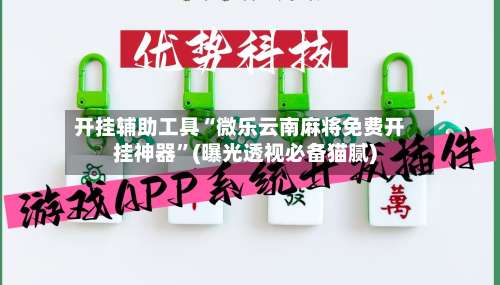 开挂辅助工具“微乐云南麻将免费开挂神器”(曝光透视必备猫腻)-第3张图片