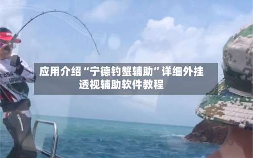 应用介绍“宁德钓蟹辅助	”详细外挂透视辅助软件教程-第2张图片
