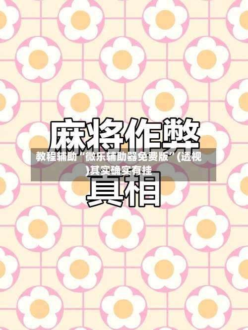 教程辅助“微乐辅助器免费版”(透视)其实确实有挂-第1张图片