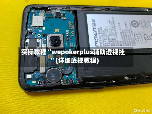 实操教程“wepokerplus辅助透视挂”(详细透视教程)-第1张图片