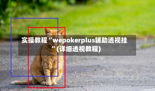 实操教程“wepokerplus辅助透视挂”(详细透视教程)-第2张图片