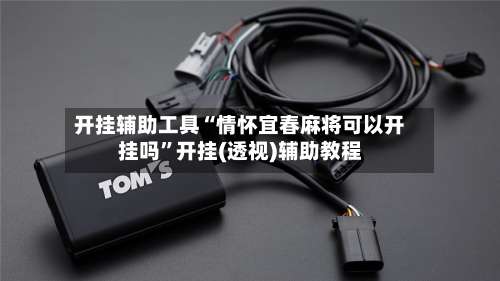 开挂辅助工具“情怀宜春麻将可以开挂吗”开挂(透视)辅助教程-第1张图片