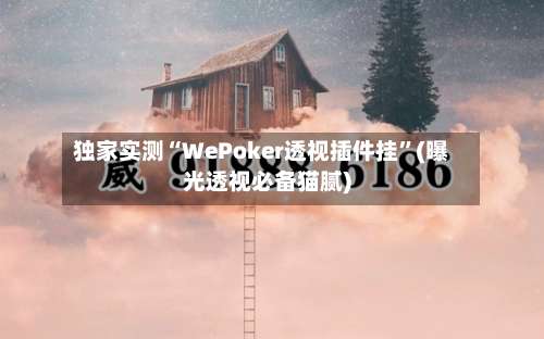 独家实测“WePoker透视插件挂	”(曝光透视必备猫腻)-第2张图片