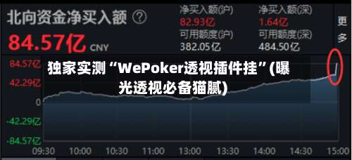 独家实测“WePoker透视插件挂”(曝光透视必备猫腻)-第1张图片