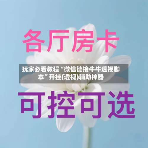 玩家必看教程“微信链接牛牛透视脚本	”开挂(透视)辅助神器-第2张图片