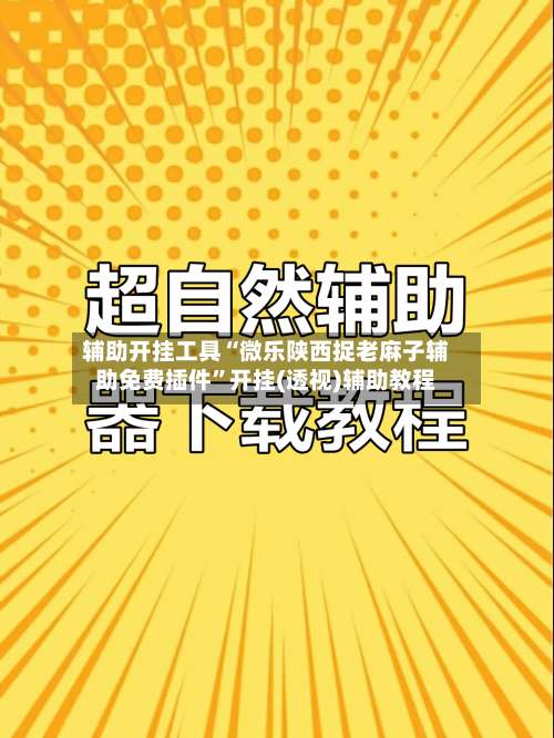 辅助开挂工具“微乐陕西捉老麻子辅助免费插件”开挂(透视)辅助教程-第2张图片