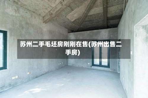 苏州二手毛坯房刚刚在售(苏州出售二手房)-第1张图片