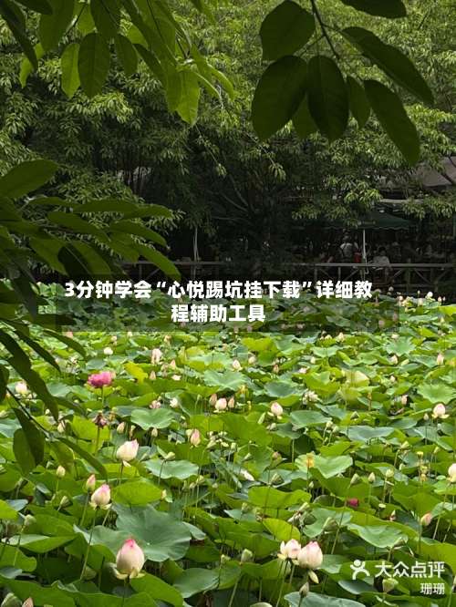 3分钟学会“心悦踢坑挂下载	”详细教程辅助工具-第1张图片