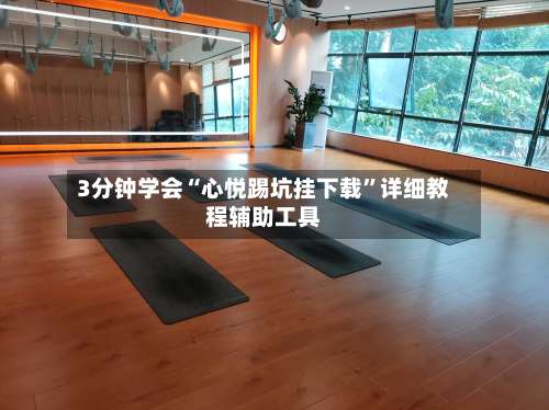 3分钟学会“心悦踢坑挂下载”详细教程辅助工具-第2张图片