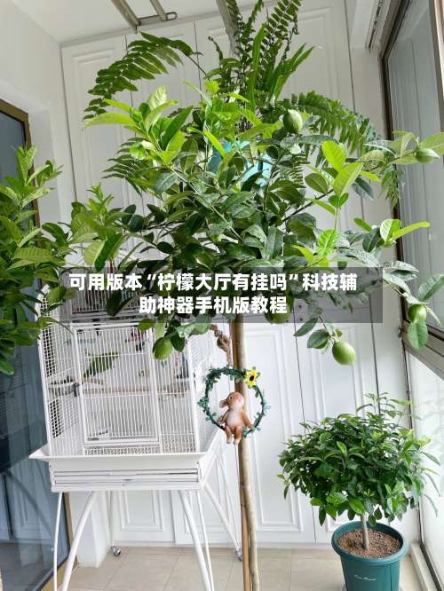 可用版本“柠檬大厅有挂吗”科技辅助神器手机版教程-第2张图片