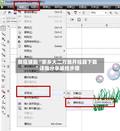教程辅助“家乡大二万能开挂器下载	”详细分享装挂步骤-第2张图片