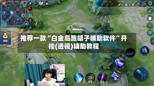 推荐一款“白金岛跑胡子辅助软件	”开挂(透视)辅助教程-第2张图片