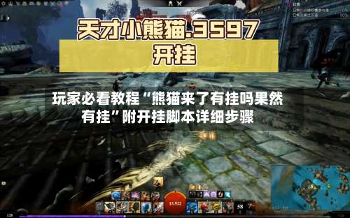 玩家必看教程“熊猫来了有挂吗果然有挂”附开挂脚本详细步骤-第2张图片