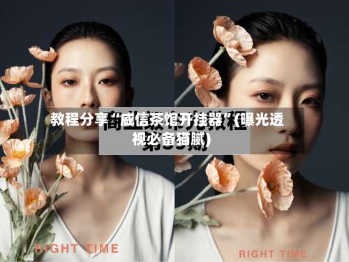 教程分享“威信茶馆开挂器”(曝光透视必备猫腻)-第2张图片