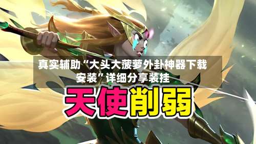 真实辅助“大头大菠萝外卦神器下载安装	”详细分享装挂-第1张图片