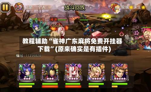 教程辅助“雀神广东麻将免费开挂器下载”(原来确实是有插件)-第2张图片