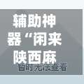 辅助神器“闲来陕西麻将万能开挂神器	”通用版下载教程！-第2张图片