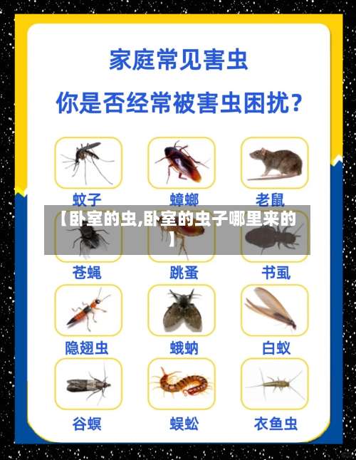 【卧室的虫,卧室的虫子哪里来的】-第1张图片