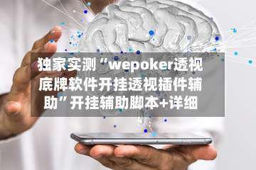 独家实测“wepoker透视底牌软件开挂透视插件辅助”开挂辅助脚本+详细-第2张图片
